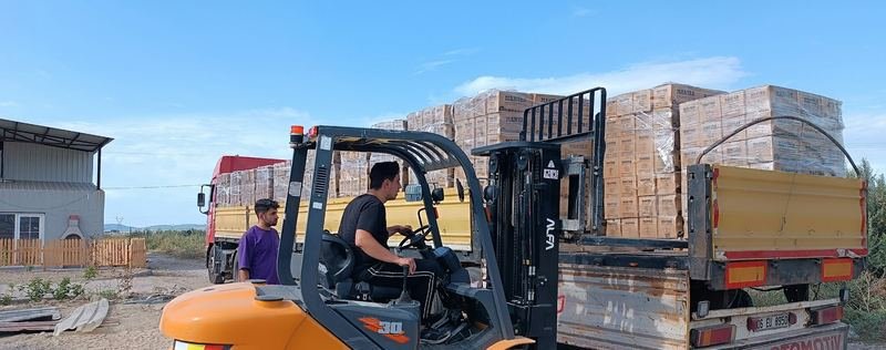 A forklift loading pallets of goods onto a truck